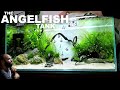 The Angelfish Aquarium: EPIC NO co2 4ft Aquascape Tutorial (Full Guide)