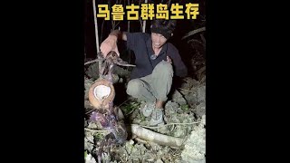 马鲁古群岛生存60天第26集，潜水找食物叉到八爪鱼和龙虾，享受完后开始寻找巨型椰子蟹！#荒岛生存 #户外  #荒野求生 #野外生存 #荒岛求生