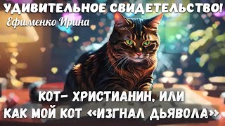 Удивительное свидетельство! КАК МОЙ КОТ «ИЗГНАЛ ДЬЯВОЛА»...