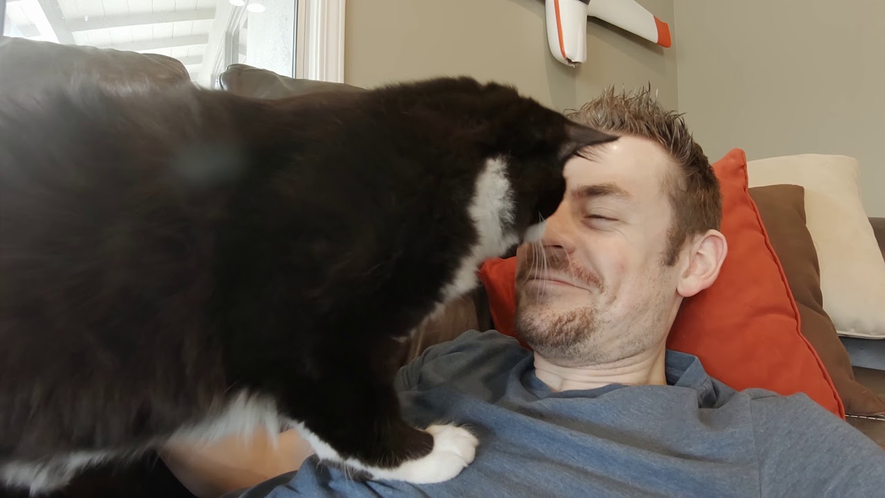 Caturday Youtube