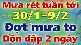 Dự báo thời tiết hôm nay và ngày mai 31/1/2025 | dự báo bão mới nhất | thời tiết 3 ngày tới