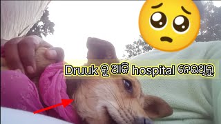 Druuk କୁ ଆଜି Hospital  ନେଇଥିଲୁ ନାନି ଆଉ ମୁଁ |Druuk ବହୁତ୍ innocent ଟା 🥰|@Anitavlog1