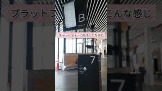 【バスの乗り方】ニュージーランド クライストチャーチ🎵中心部にあるBus interchangeからの乗り方です🚌映画館やCanterbury collegeなど語学学校も近くにあります！