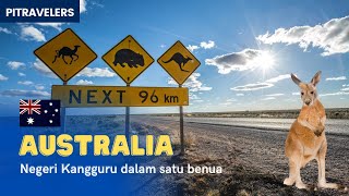 Australia, Populasi Kangguru Melebihi Manusia! Inilah Fakta Lengkap #Australia