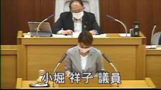 小堀祥子の代表質疑〜議案第102号令和2年度川崎市一般会計補正予算働き方改革推進事業費について20200601