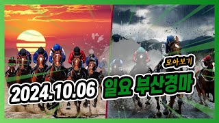 2024년 10월 6일 일요 부산경마 전체경주 모아보기#경마예상 #온라인경마 #마패