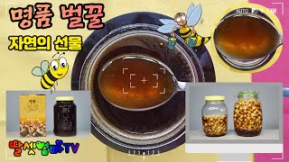 토종벌꿀, 명품벌꿀, Pure Honey, 자연의 선물, 로얄젤리, 신토불이, 우리지역 농산물, 꼼꼼 리뷰, 가성비 짱, 강추, 자문: 호루스벤누[딸셋엄빠TV - 제품리뷰]