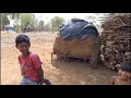 कोरकु आदिवासी का रहन सहन indian tribal village lifestyle mp korku adivasi