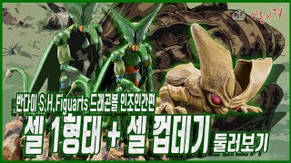 [어른이TV 시즌4] 반다이 S.H.Figuarts 드래곤볼 셀 1형태 + 드래곤볼 더 브레이커즈 셀 껍데기 같이 보기 #shf #셀1형태 #셀껍데기 #cellshell