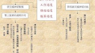 輝SIR教你胃病自救-- 自律神經系統2