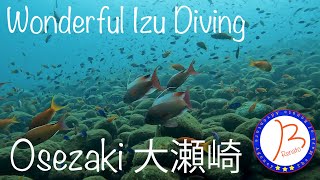 Wouderful Izu Diving Osezaki（大瀬崎ダイビング）