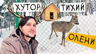 ЗНАКОМСТВО И ОЛЕНИ 🐐 Карпаты 🗻 Эко-Курорт \