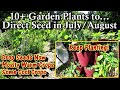 10+ Garden Plants to Direct Seed in July & August:  Keep Planting Warm Crops & Consider Cool Crops