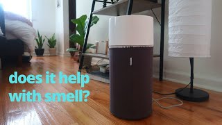 Blue Air Blue Pure 411 Air Purifier Review for Small & Smelly Spaces