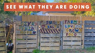 St Pete Youth Farm Part II: What does it take? Tour a 1 acre farm in the city