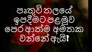 342 )පෘතුවියේ ඉපදුනාම පෙර ආපු තැන අමතක වෙන්නේ ඇයි?