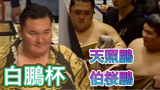 宮城野親方＆伯桜鵬＆天照鵬【第14回白鵬杯】2024/2/12 [Hakuho Cup 2024]