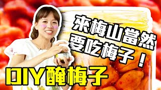 【嘉義梅山】醃梅子DIY！想要什麼口味自己選｜入住古樸三合院民宿，教你如何品茶｜ep.310