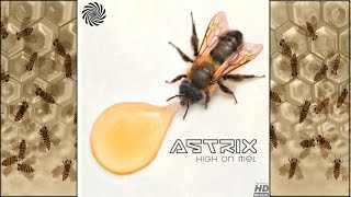 Astrix - High on Mel