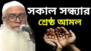 সকাল সন্ধ্যার শ্রেষ্ঠ আমল || শায়েখ মাওলানা আব্দুল আউয়াল সাহেব || Shaykh Maulana Abdul Awal Sahib