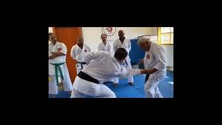 kihon ippon - Mestre Marcos Siqueira 8° DAN WKS, CBS, FCKS