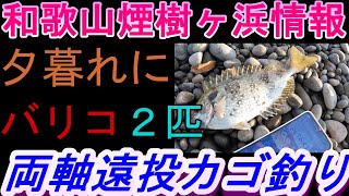 10-01　煙樹ヶ浜釣り情報・実釣編