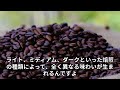 コーヒー豆の秘密：あなたのカップに隠された物語