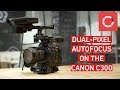 Canon C300 Mark II: How to Use Dual-Pixel Autofocus | MotionTribe.io