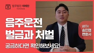 음주운전 벌금과 처벌 기준, 이 영상으로 정리해드립니다.