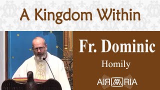 God's Kingdom Made Welcome - Jan 26 - Homily - Fr Dominic