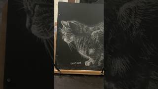 我用粉筆畫睡貓Drawing with chalk #chalkboard #blackboard #drawingtutorial #chalkboardart