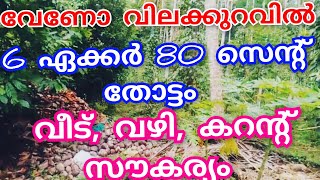 അടിപൊളി തോട്ടം 6 ഏക്കർ 80 സെന്റ് വളരെ വിലക്കുറവിൽ പാലക്കാട്‌ ജില്ലയിൽ 👌#lowbudget