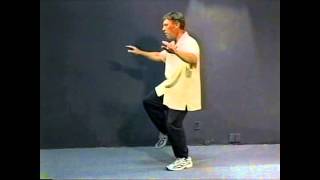 Yang Style Tai Chi Long Form Special Lesson - The Torso and Eyes