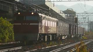 JR貨物ED76-81牽引 1063ﾚ 小倉駅と鳥栖駅にて