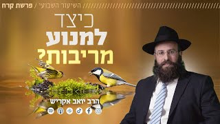 פרשת קורח • כיצד למנוע מריבות?