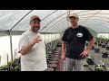 Tips & Tricks For Growing Carolina Reapers  Ed Currie