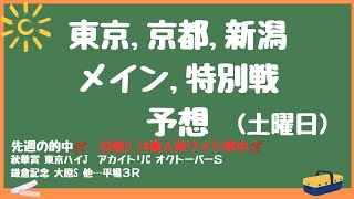 🔥土曜日メイン,特別戦予想🔥富士ステークス,AリーフS,北陸ステークス。東京,京都,新潟,先週の馬場傾向