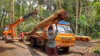 ചങ്കുറപ്പുള്ളവരുടെ സാമ്രാജ്യം Kerala Timber Lorry Extreme Driving | Swaraj Mazda Lorry Kerala 🔥