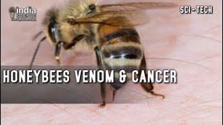 Honeybees & Breast Cancer (E)
