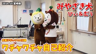 【みやざき犬】ワチャワチャ自己紹介：お菓子ボックス大活躍！ (201610)