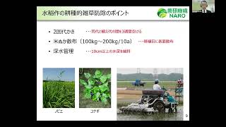 令和６年度　第１回グリーンな栽培体系の取組報告会「水稲のグリーンな栽培体系」（令和６年11月28日）