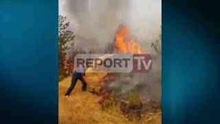 Report TV - Zjarr në Mirditë,banorët në alarm: Jemi në rrezik, ndihmë!