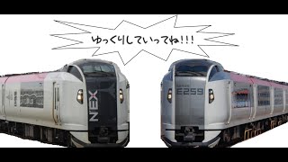 E259系N'EX 車内散策録