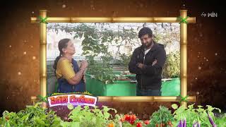 Perati Ruchulu | పెరటి రుచులు | Fri - Sat 12:00 PM | 1st Feb 2025 | Latest Promo