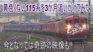 【希少な走行動画】山陽本線の黄色くない115系を4月から追いかけてみた