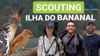 Exploring SantaPira Lodge and the Wonders of Bananal Island | Brazil Birding Experts