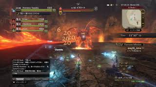 DDON イフリート限界域 ポーンPT 3分46秒