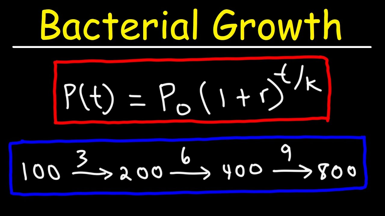 How To Solve Bacteria Growth Math Problems - YouTube