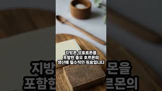 좋은 지방을 섭취해야 하는 이유 다섯가지