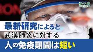 最新研究によると、新型コロナウイルスに対する人の免疫期間は短い